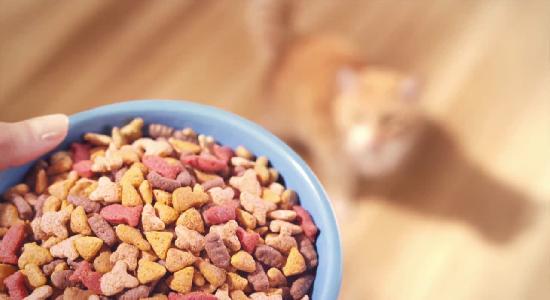 Purina Friskies® 7 Favorites Cat Food tvc