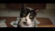 KFC Original Recipe Stacker - the cat Commercial