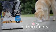 Purina PRO PLAN OPTINUTRITION Commercial