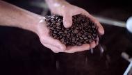 Duckinwilla Coffee Roasters in Queensland Commercial