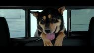 Nissan EOFY Deals are now on - the dog Commercial