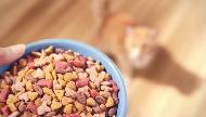 Purina Friskies® 7 Favorites Cat Food Commercial