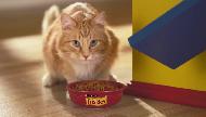 Purina Friskies® Tender & Crunchy Combo Cat Food Commercial