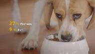 Purina PRO PLAN Adult Weight Loss / Sterilised with OPTIWEIGHT Commercial