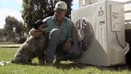 Mitsubishi Electric Ducted Air Conditioning Works for Me Commercial