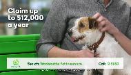 Woolworths Pet Insurance Commercial