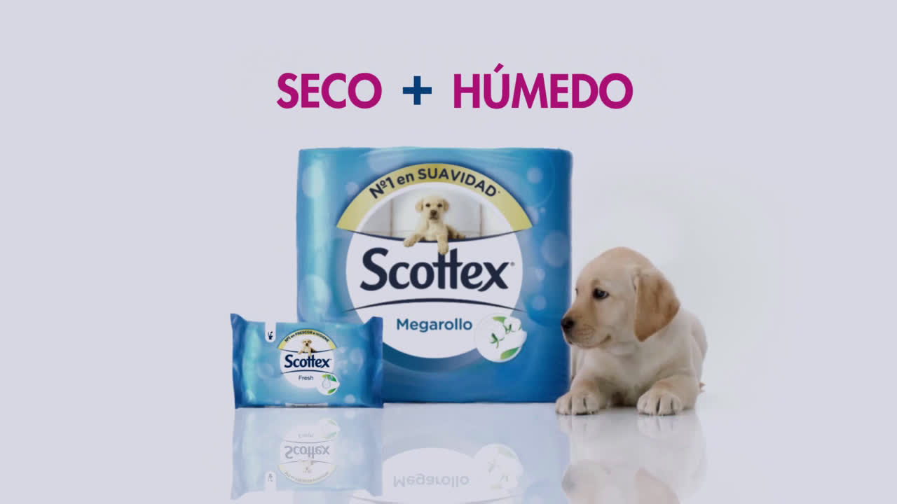 Scottex ¿Cómo de Scottex® te sientes?  v2 anuncio