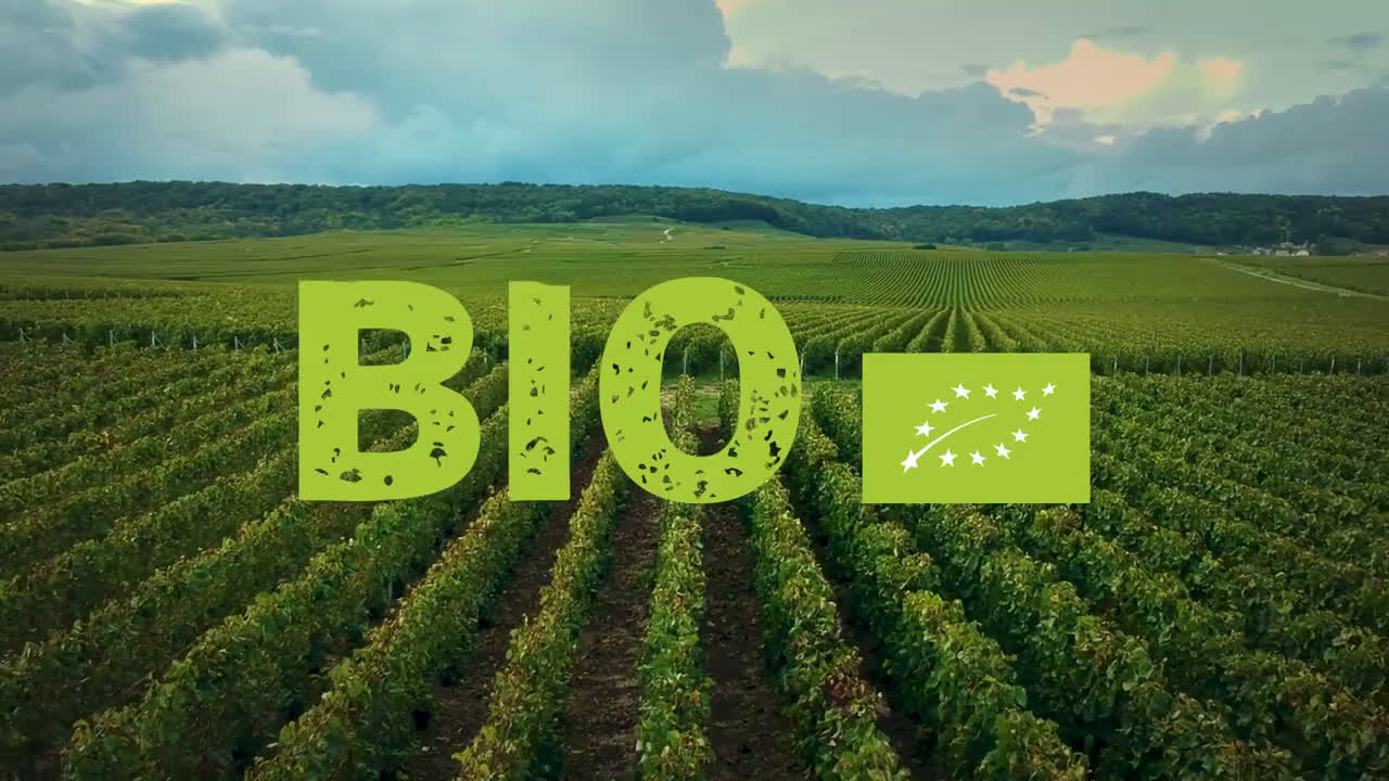 Eroski Sin fertilizantes artificiales - BIO anuncio