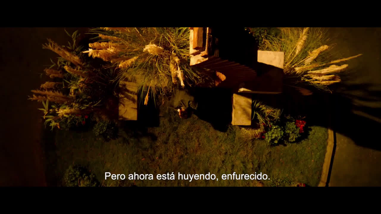 Trailers y Estrenos Adiós, idiotas - Trailer subtitulado en español anuncio