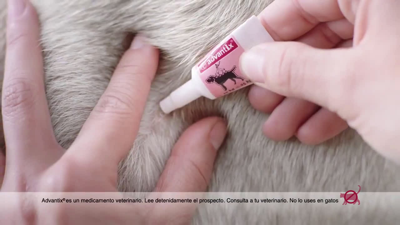 Tienda Animal Pipetas Advantix Triple Protección anuncio