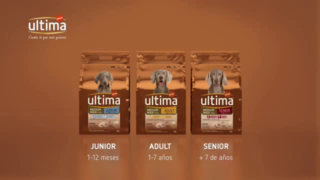 Affinity Ultima Medium y Maxi - Nadadores - Apetito Voraz anuncio