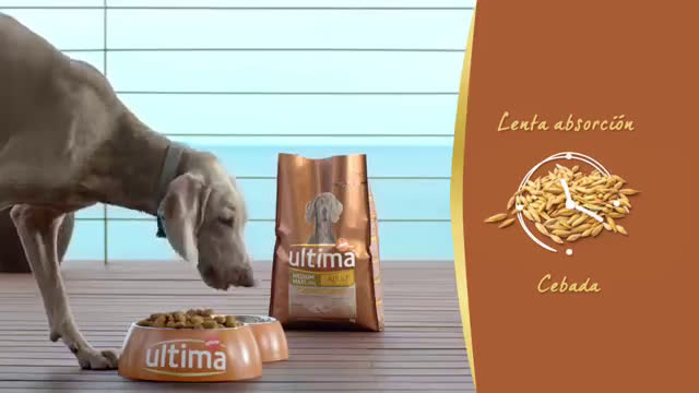 Affinity Nadadores - Ultima Medium y Maxi anuncio