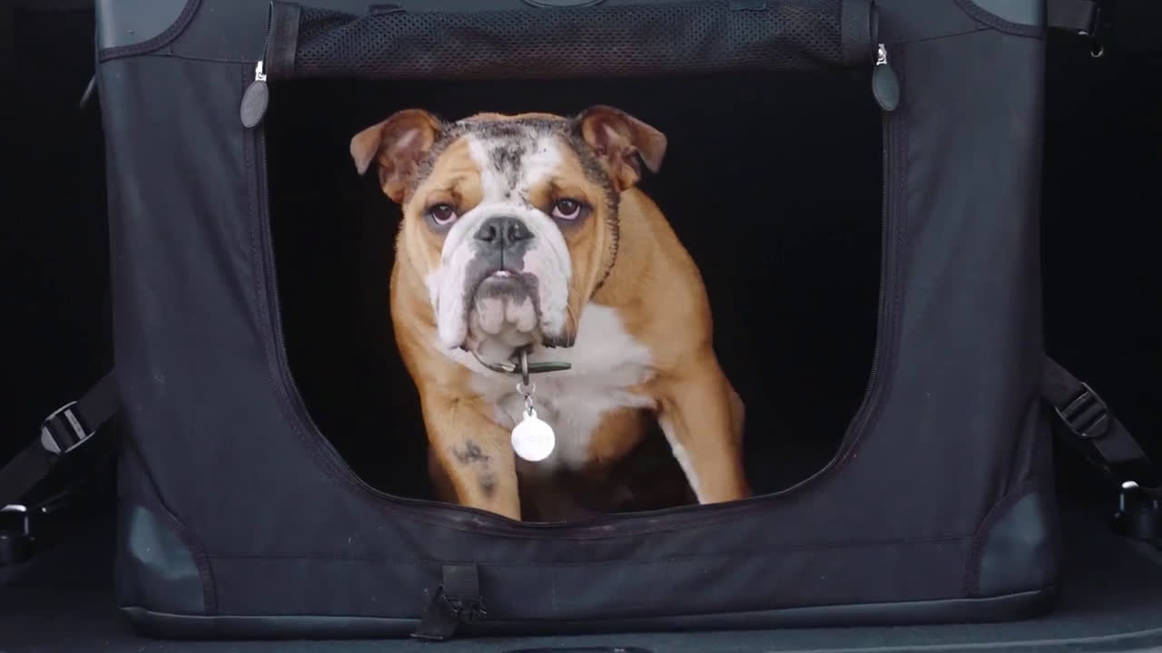 Portamascotas plegable | Pack de Accesorios para mastocas Land Rover Trailer