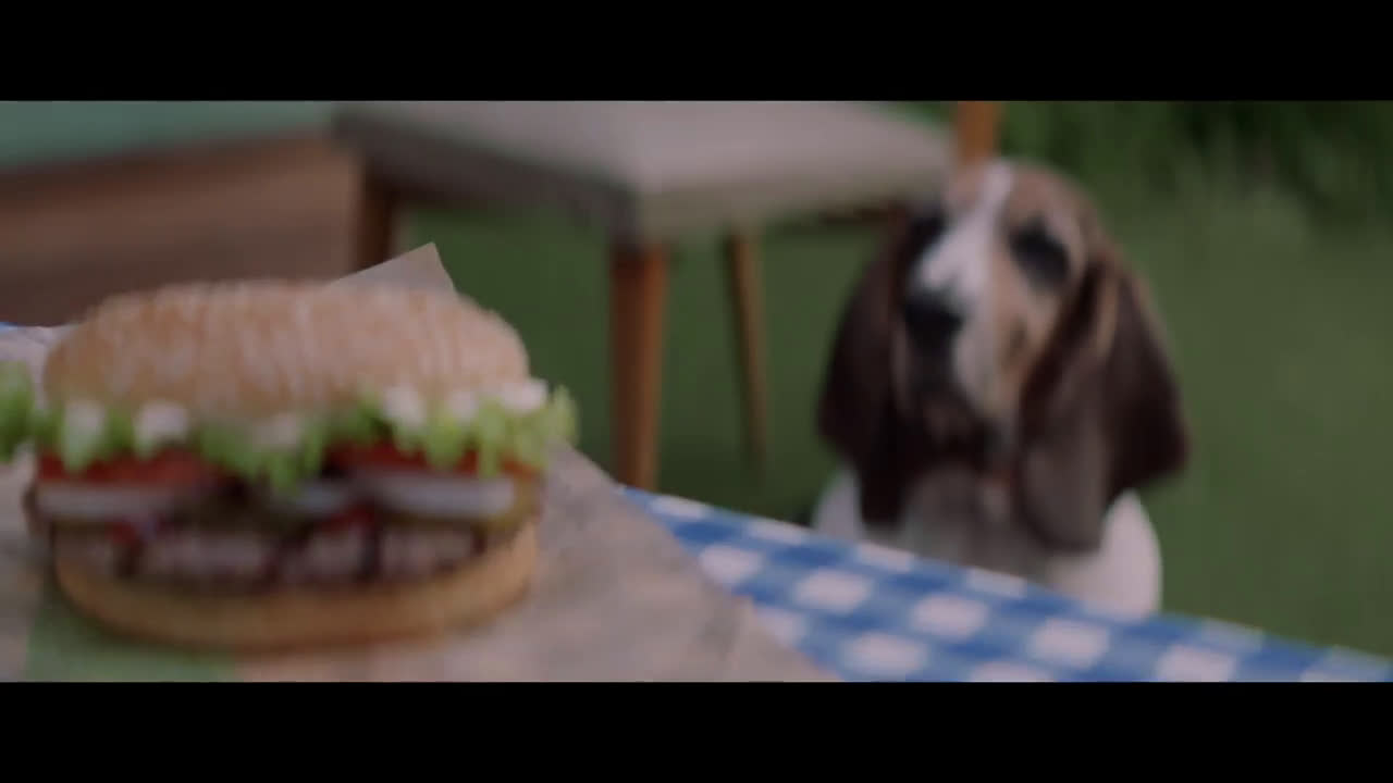 Burger King DOGPPER: EL HUESO SABOR PARRILLA anuncio