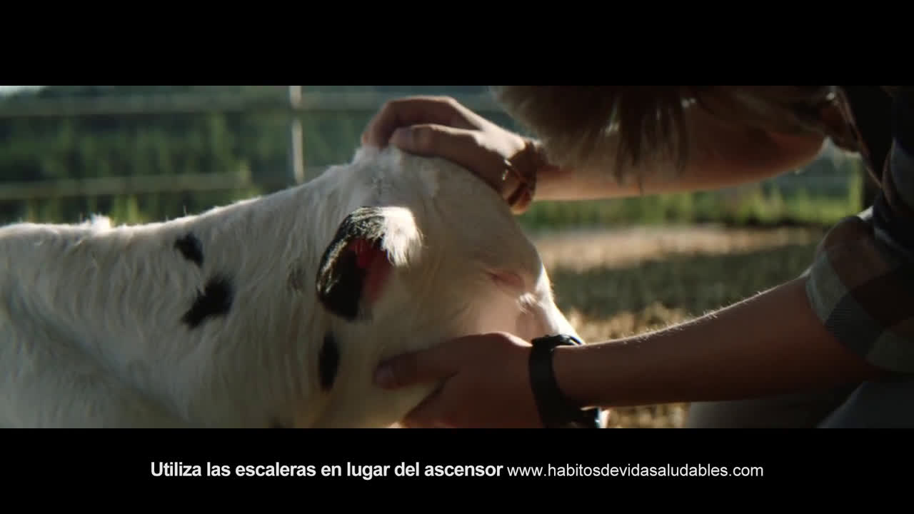 Leche Pascual Batidos Leche Pascual 2018 | Bienestar Animal | Dar Lo Mejor anuncio