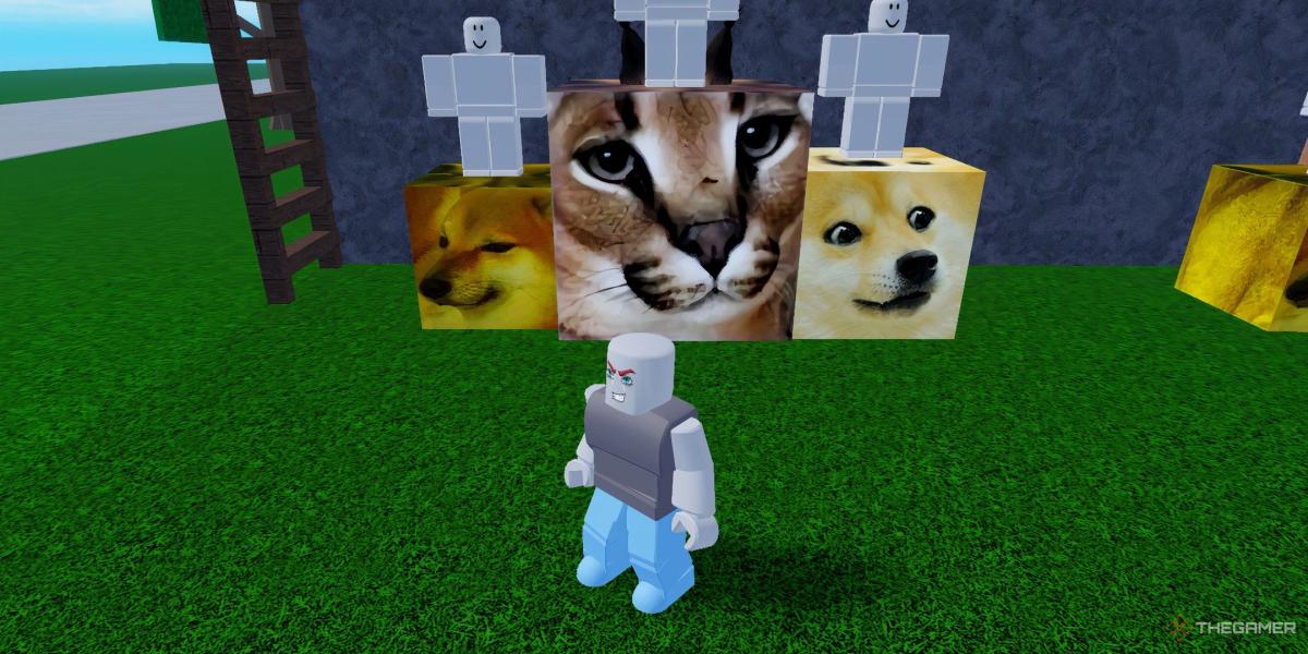 Meme Sea: Comment obtenir de la nourriture pour chat