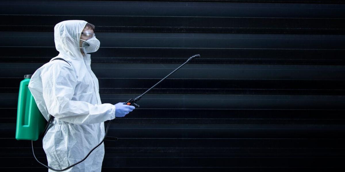 Professional Pest Control Is Worth It for Homeowners