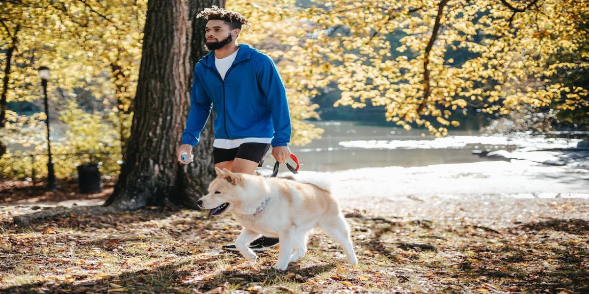 Health Benefits of a Morning Walk - abancommercials.com