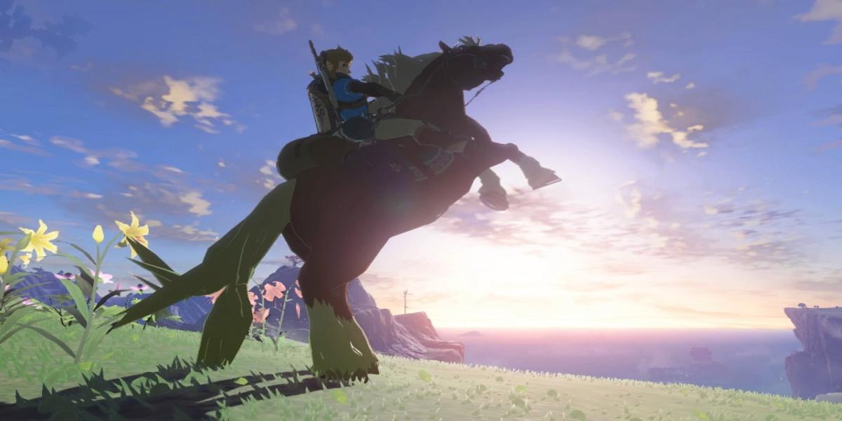 Man alle Bubbulfrogs in Zelda Tears of the Kingdom findet