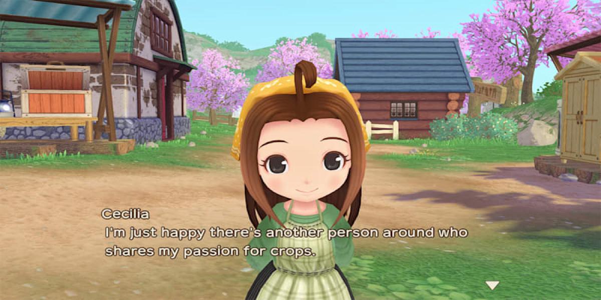 Ottenere la canna da pesca in Story of Seasons: A Wonderful
