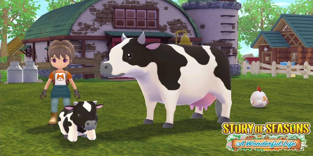 Man den Hund füttert in Story of Seasons: A Wonderful Life