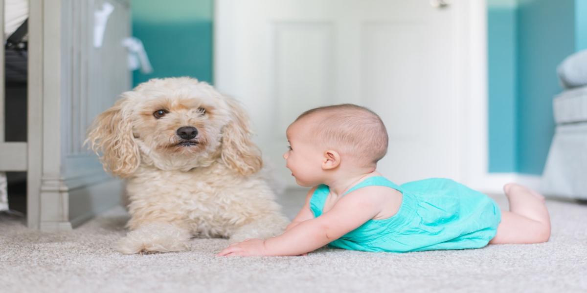 Best Clothes for Your Toddler - abancommercials.com