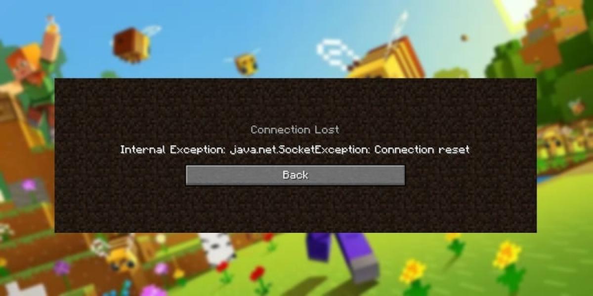 Rsolvere l'eccezione Internet java.net.SocketException