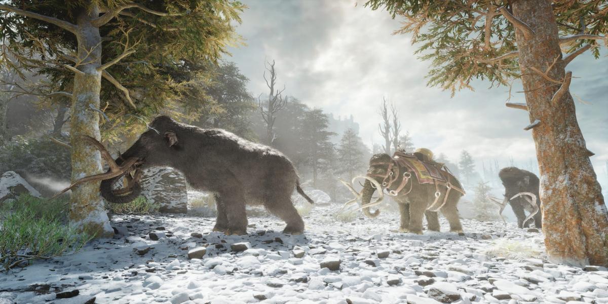 Préparer une boisson médicale dans Ark Survival Ascended