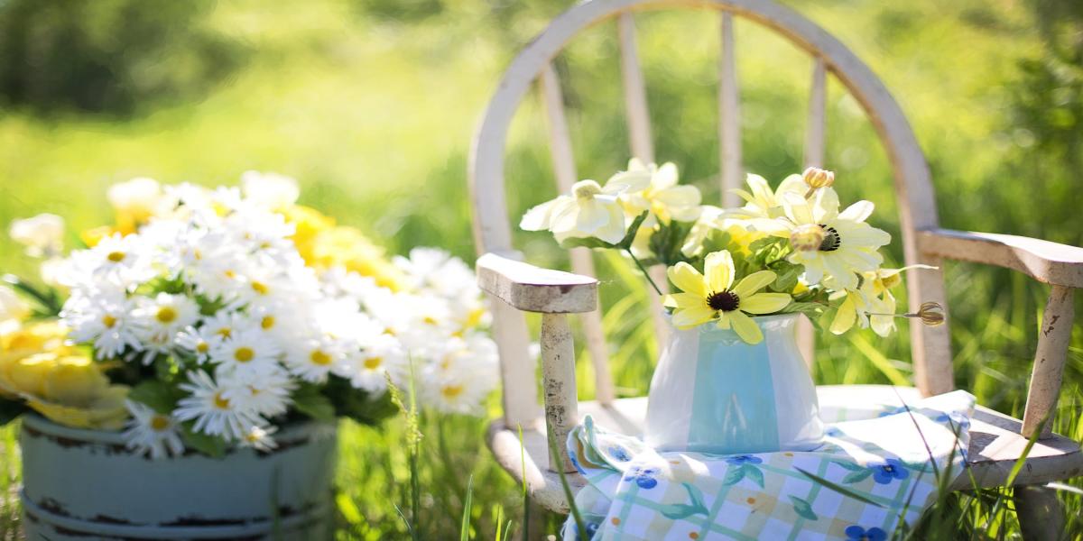 Discovering the Best Seed Banks in California for Garden