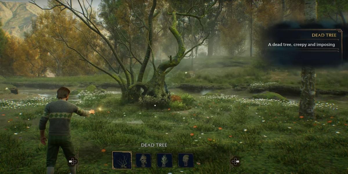 cambiare l'interfaccia utente in Hogwarts Legacy