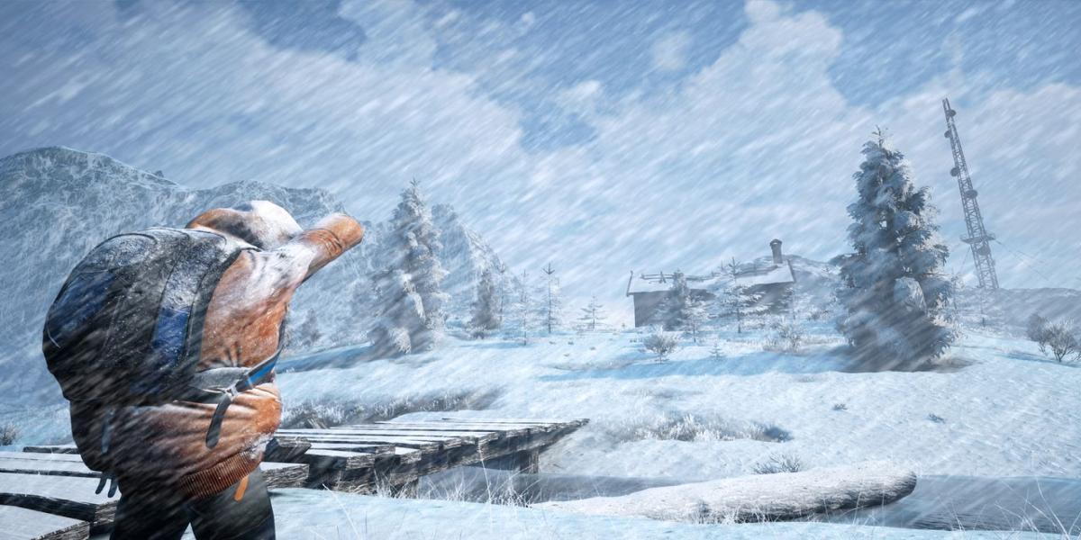 Starting Scenario in Winter Survival