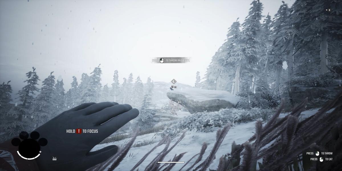 symptômes de folie dans Winter Survival