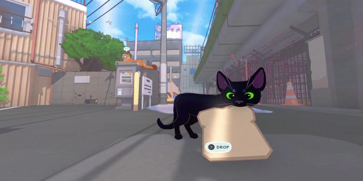 Little Kitty, Big City: All Shinies locations