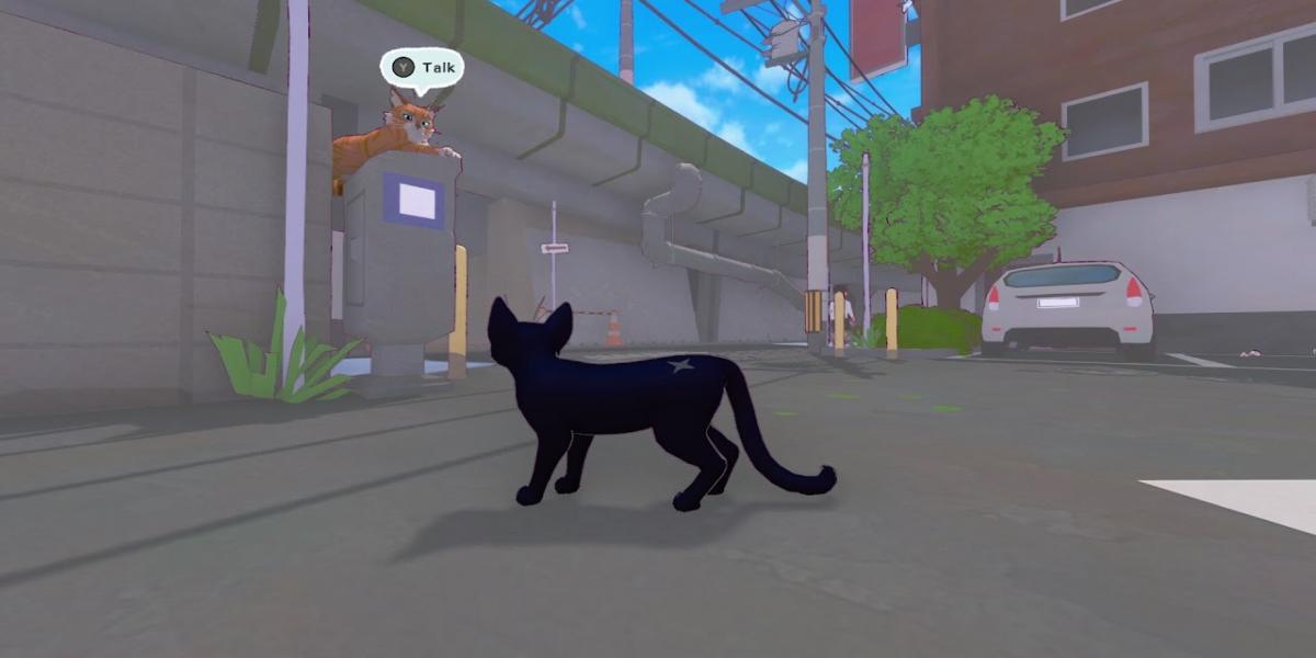 Escondites de camaleones en Little Kitty, Big City