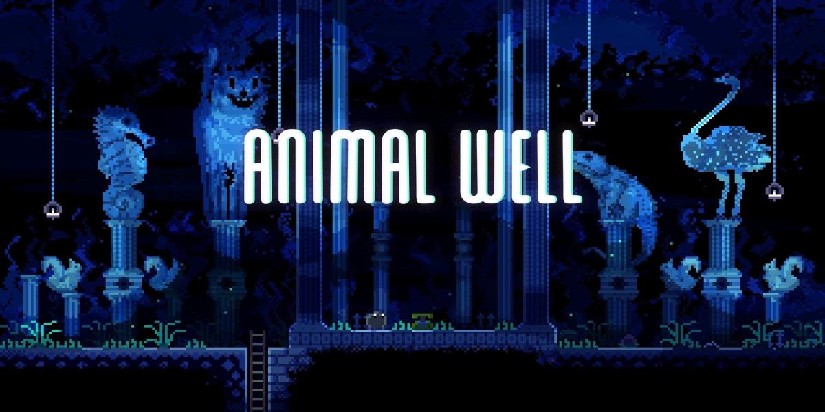 Get the Yoyo Tool in Animal Well - abancommercials.com