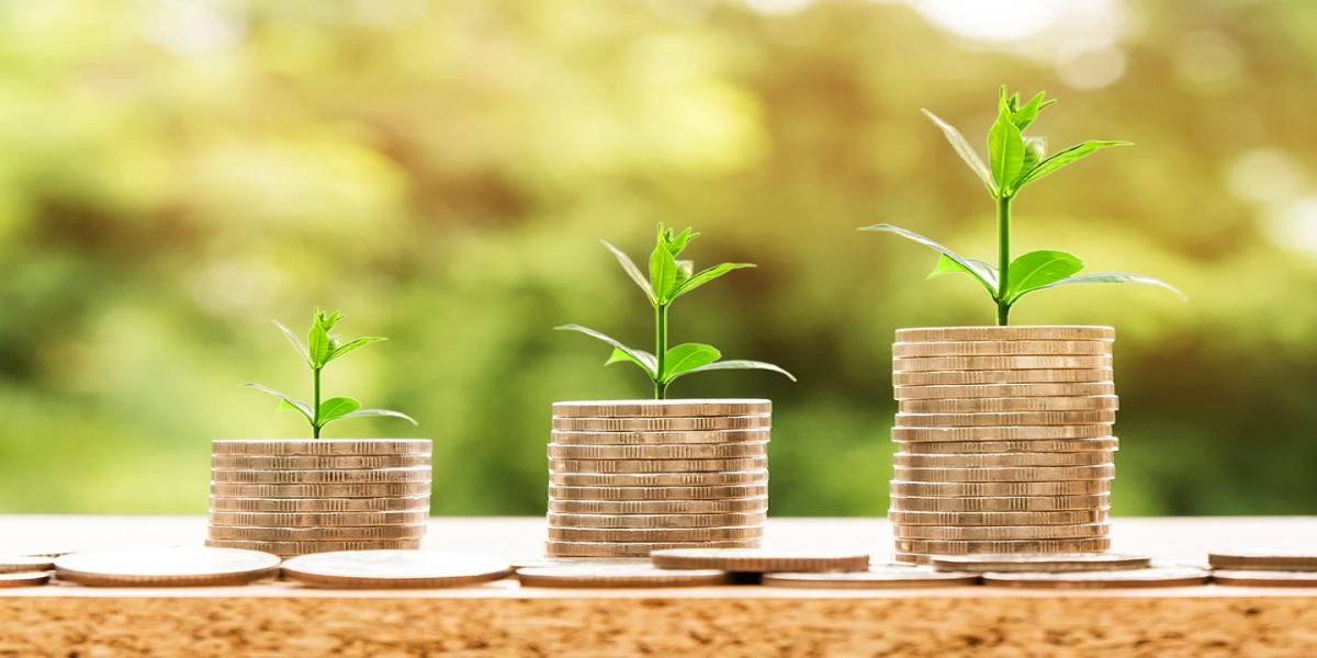 IGKapital: eine einfache Lösung für alle Privatanleger