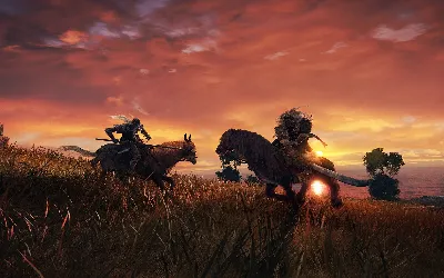 How to beat Hoarah Loux, Warrior in Elden Ring