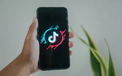 Come risolvere il problema L'app TikTok continua a bloccarsi