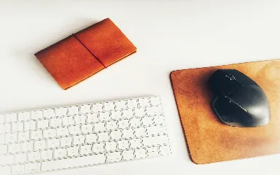 How to Fix Mouse not clicking in Windows 11