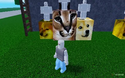 Comment obtenir de la nourriture pour chat dans Meme Sea