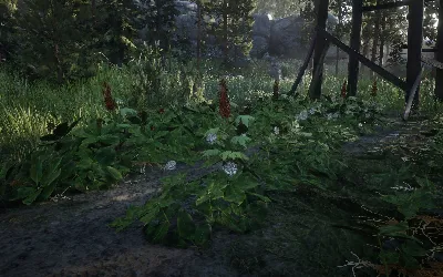 Dove trovare il ginseng americano in Red Dead Redemption 2