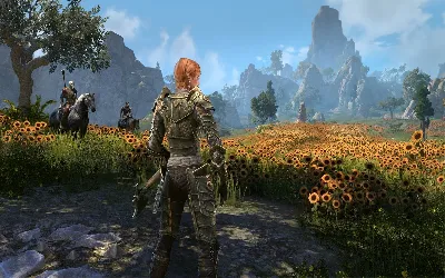 comment réparer Elder Scrolls Online n'envoyant pas d'e-mail