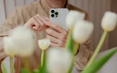 Comment réparer Face ID et mot de passe manquants sur iPhone