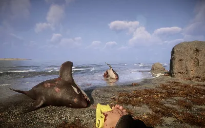 How to Spawn in Different Places in Sons of the Forest?