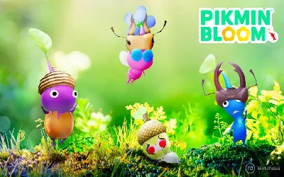 Où obtenir des codes amis dans Pikmin Bloom