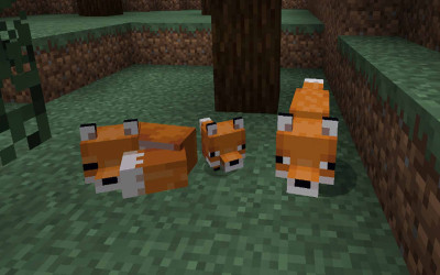 Wie man einen Fuchs in Minecraft zähmt