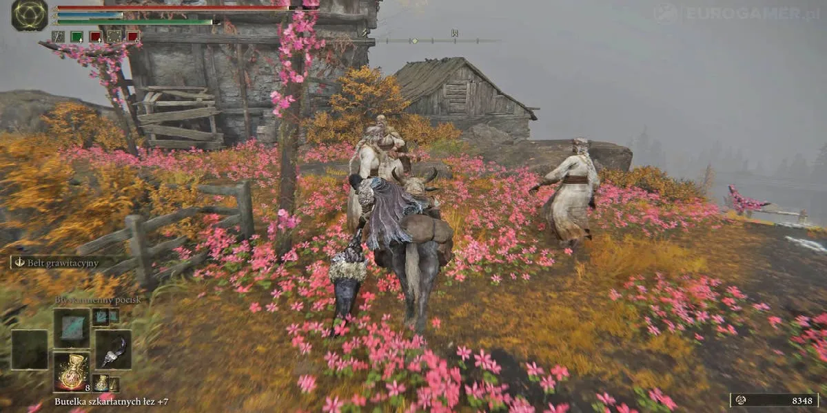 Elden Ring: Find The Hand Ballista - abancommercials.com