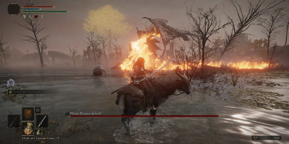 el arma Pata en Elden Ring Shadow of the Erdtree