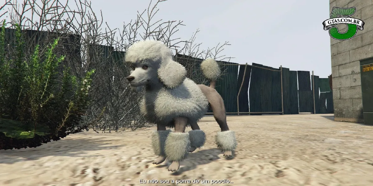 GTA Online: Poodle Locations - abancommercials.com