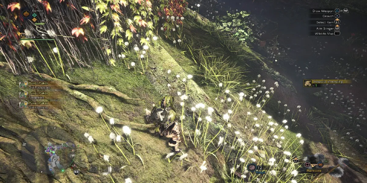 Obtenez Monster Hunter Wilds Vespoid Shell, Aile, Carapace,